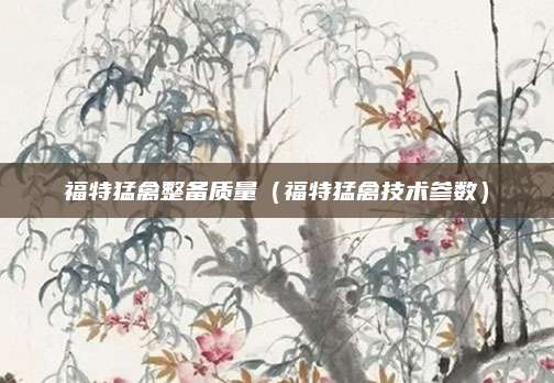 福特猛禽整备质量(福特猛禽技术参数)