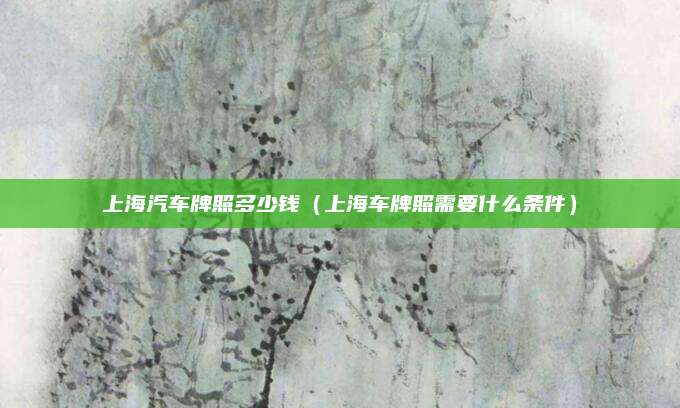 上海汽车牌照多少钱(上海车牌照需要什么条件)