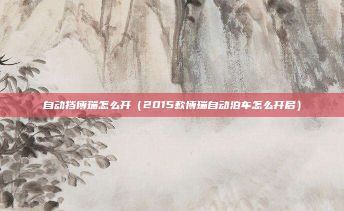 自动挡博瑞怎么开(2015款博瑞自动泊车怎么开启)