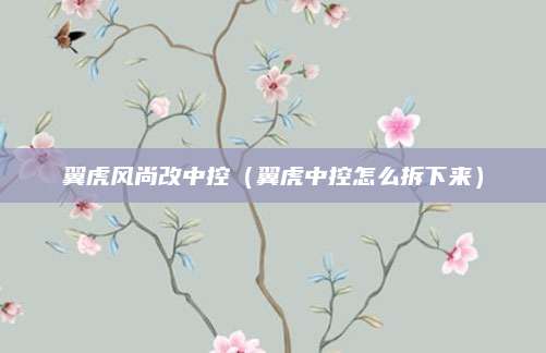 翼虎风尚改中控(翼虎中控怎么拆下来)