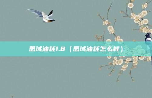 思域油耗1.8(思域油耗怎么样)