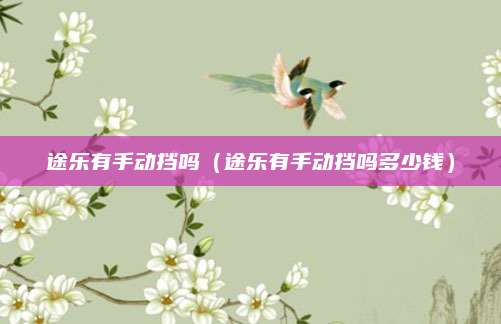 途乐有手动挡吗（途乐有手动挡吗多少钱）