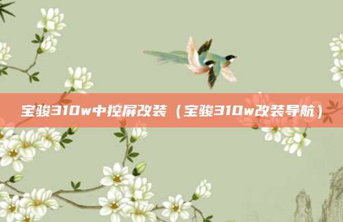 宝骏310w中控屏改装（宝骏310w改装导航）