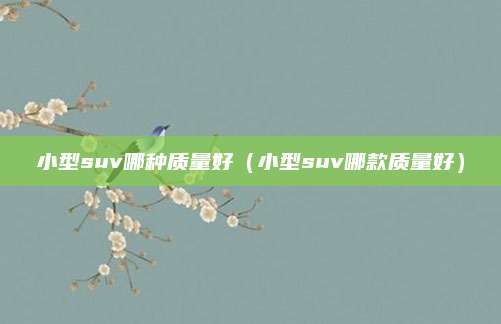 小型suv哪种质量好(小型suv哪款质量好)