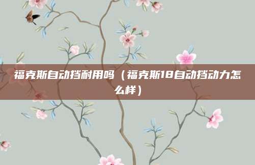 福克斯自动挡耐用吗(福克斯18自动挡动力怎么样)