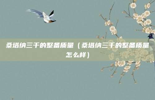 桑塔纳三千的整备质量(桑塔纳三千的整备质量怎么样)