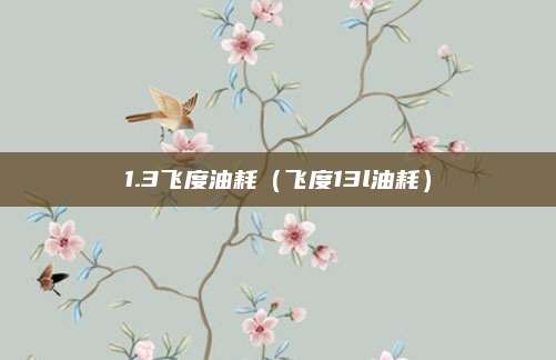 1.3飞度油耗(飞度13l油耗)