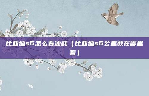 比亚迪s6怎么看油耗(比亚迪s6公里数在哪里看)