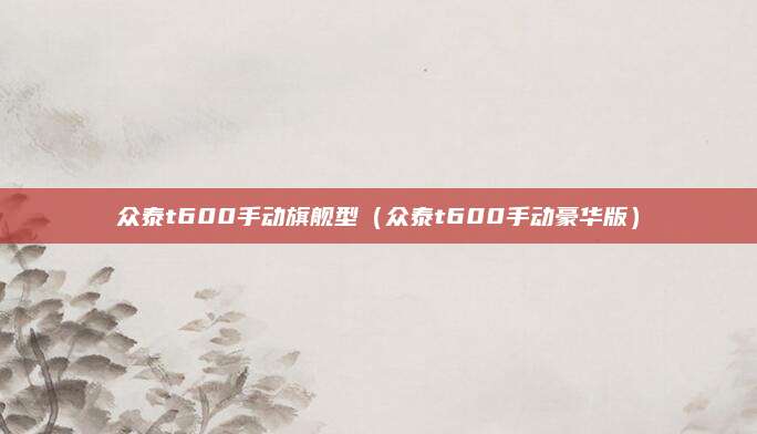 众泰t600手动旗舰型(众泰t600手动豪华版)
