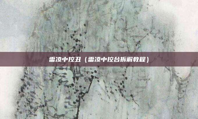 雷凌中控丑(雷凌中控台拆解教程)