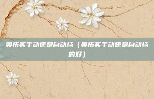 奥拓买手动还是自动档(奥拓买手动还是自动档的好)