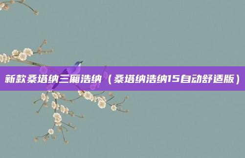 新款桑塔纳三厢浩纳(桑塔纳浩纳15自动舒适版)