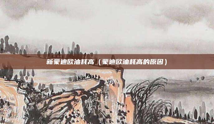 新蒙迪欧油耗高（蒙迪欧油耗高的原因）
