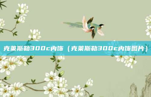 克莱斯勒300c内饰(克莱斯勒300c内饰图片)