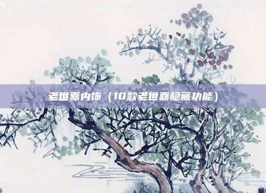 老世嘉内饰(10款老世嘉隐藏功能)
