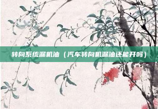 转向系统漏机油(汽车转向机漏油还能开吗)