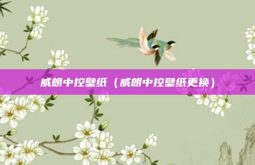 威朗中控壁纸(威朗中控壁纸更换)