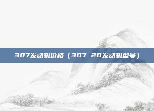 307发动机价格(307 20发动机型号)