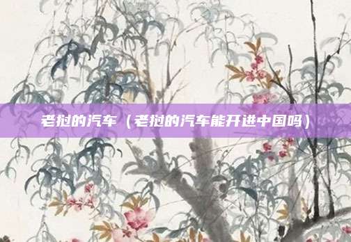 老挝的汽车(老挝的汽车能开进中国吗)