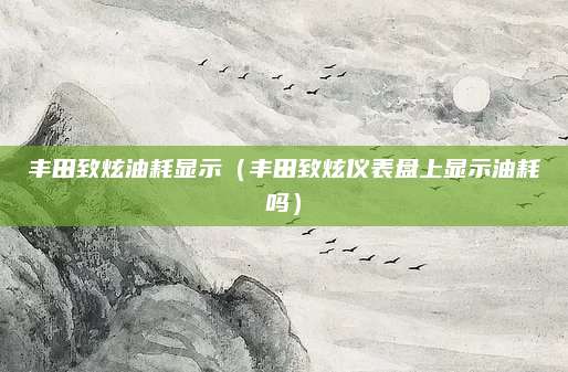 丰田致炫油耗显示(丰田致炫仪表盘上显示油耗吗)