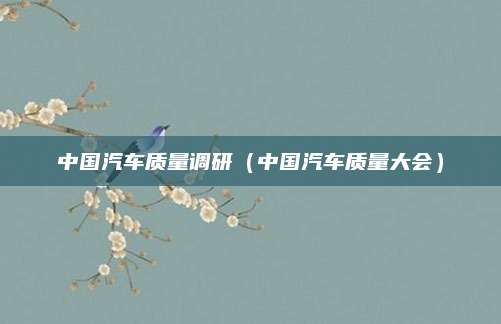 中国汽车质量调研(中国汽车质量大会)