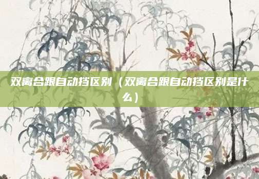双离合跟自动挡区别(双离合跟自动挡区别是什么)
