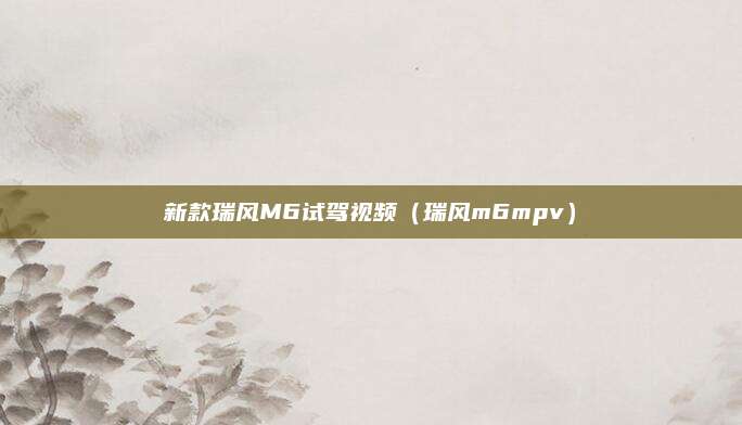 新款瑞风M6试驾视频(瑞风m6mpv)
