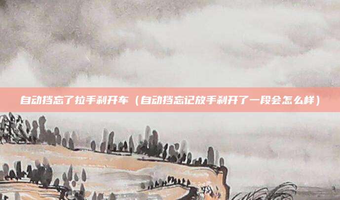 自动挡忘了拉手刹开车(自动挡忘记放手刹开了一段会怎么样)