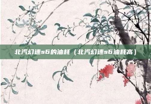 北汽幻速s6的油耗(北汽幻速s6油耗高)
