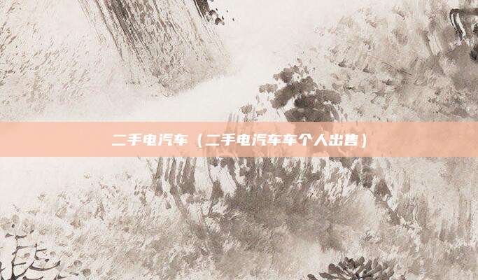 二手电汽车(二手电汽车车个人出售)