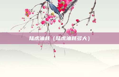 陆虎油耗(陆虎油耗多大)