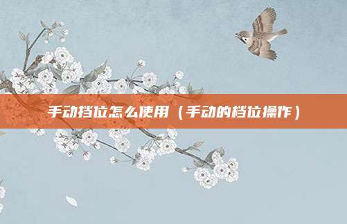 手动挡位怎么使用(手动的档位操作)