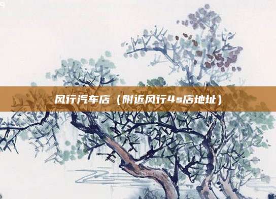 风行汽车店(附近风行4s店地址)