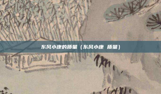 东风小康的质量(东风小康 质量)