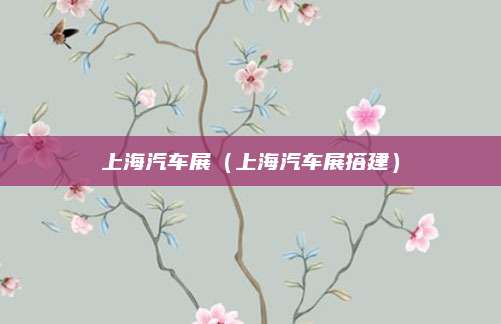 上海汽车展(上海汽车展搭建)