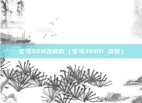 宝马320改新款（宝马320li 改装）