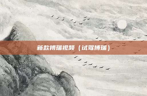 新款搏瑞视频（试驾博瑞）