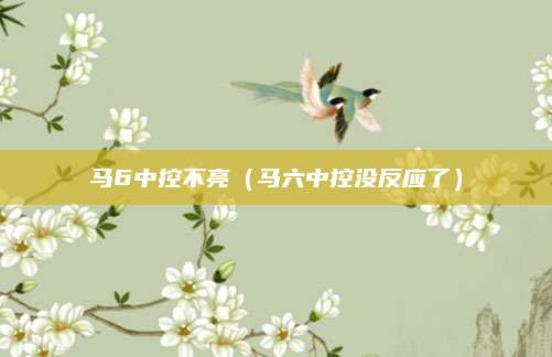 马6中控不亮(马六中控没反应了)