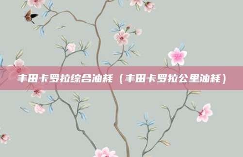 丰田卡罗拉综合油耗(丰田卡罗拉公里油耗)
