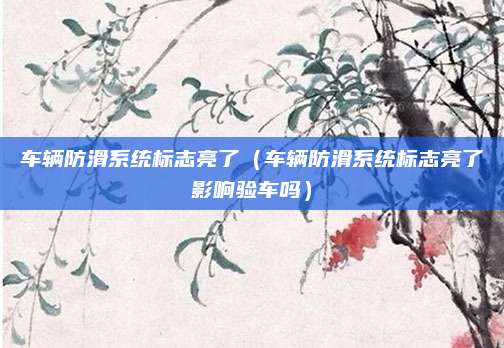 车辆防滑系统标志亮了（车辆防滑系统标志亮了影响验车吗）