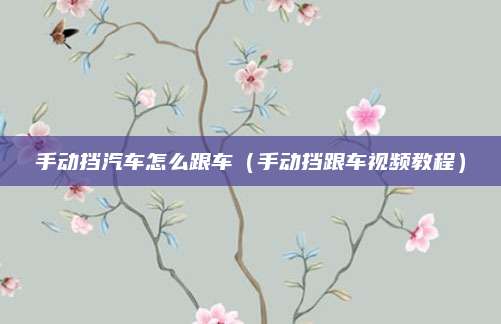 手动挡汽车怎么跟车（手动挡跟车视频教程）