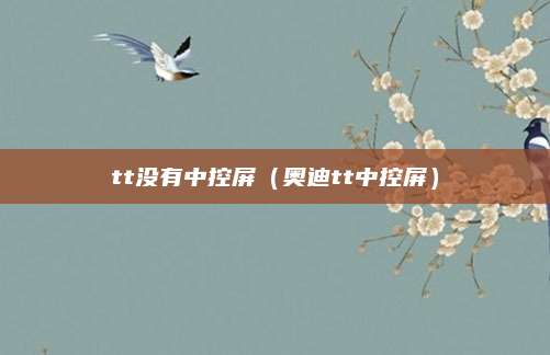 tt没有中控屏（奥迪tt中控屏）