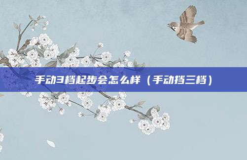 手动3档起步会怎么样(手动挡三档)