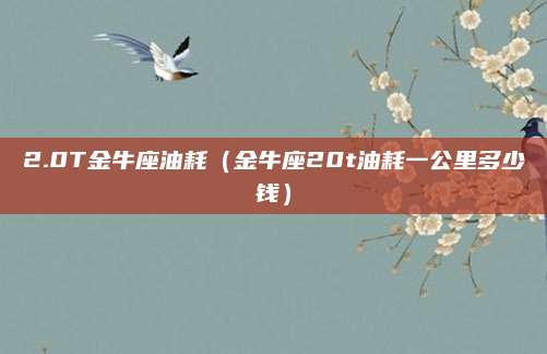 2.0T金牛座油耗(金牛座20t油耗一公里多少钱)