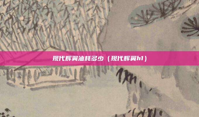 现代辉翼油耗多少（现代辉翼h1）