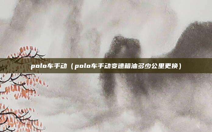 polo车手动(polo车手动变速箱油多少公里更换)