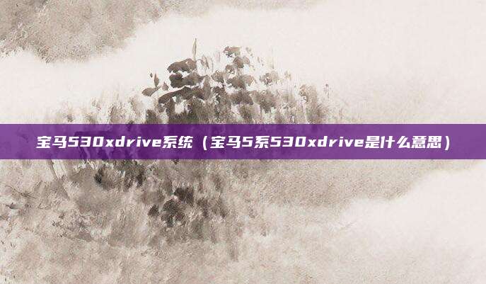 宝马530xdrive系统(宝马5系530xdrive是什么意思)