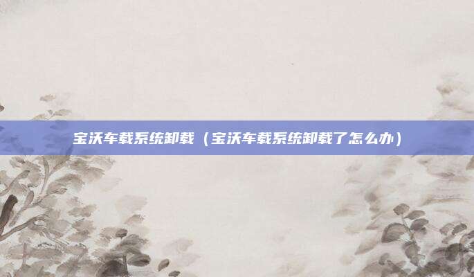 宝沃车载系统卸载(宝沃车载系统卸载了怎么办)