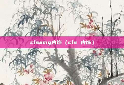 clsamg内饰(cls 内饰)
