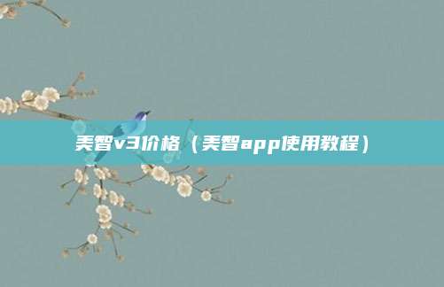 美智v3价格(美智app使用教程)